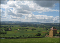 Beaujolais