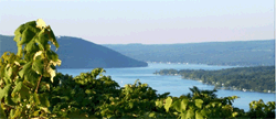 Finger Lakes wine country scenic view