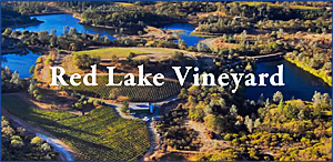 Red Lake Vineyard