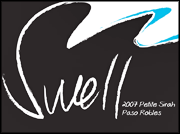 Aaron Wines 2007 Swell Petite Sirah