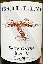 Bollini 2024 Sauvignon Blanc