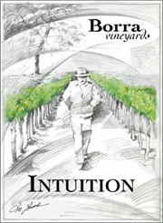Borra 2011 Intuition