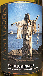 Cantadora 2023 The Illuminator Viognier