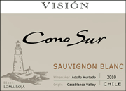 Cono Sur 2010 Vision Sauviugnon Blanc