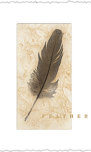 Feather 2007 Cabernet