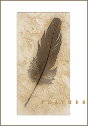 Feather 2008 Cabernet