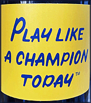 Play Like a Champion Today 2019 Cabernet Sauvignon