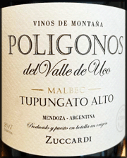 Zuccardi 2017 Poligonos Tupungato Alto Malbec